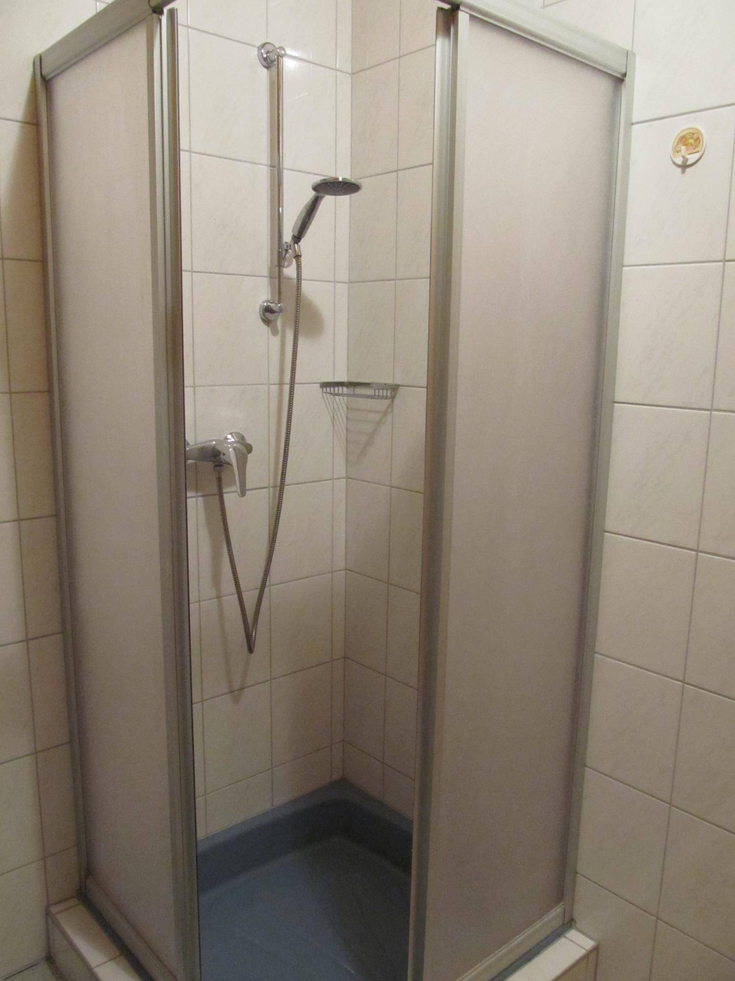 Duschkabine mit Milchglaswänden und Handbrause in einem gefliesten Badezimmer.