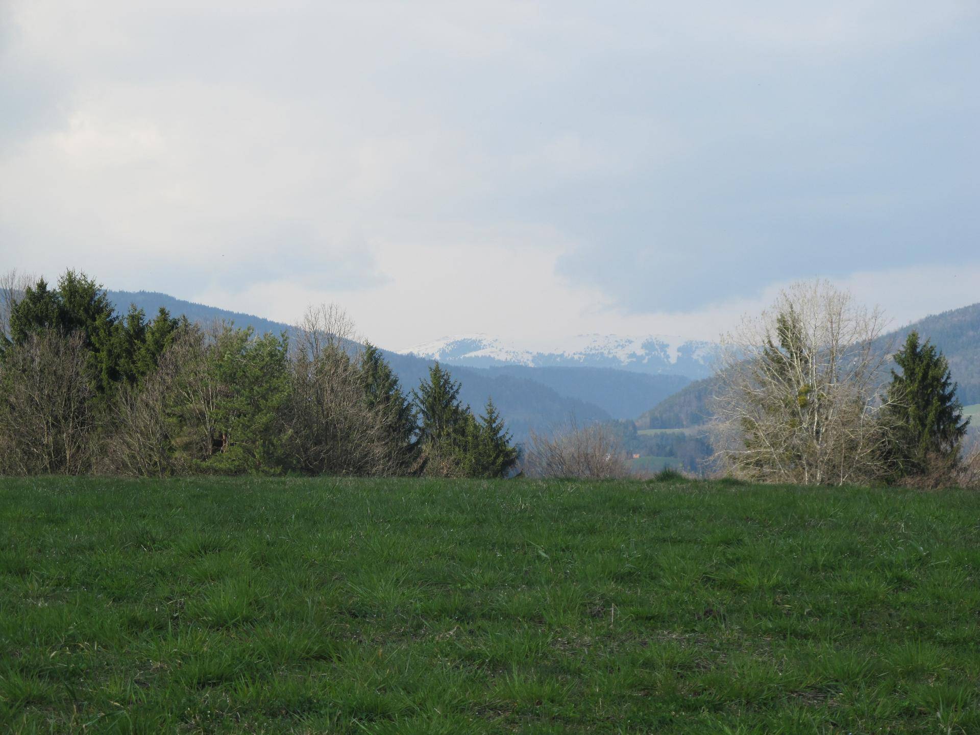 Weitblick über grüne Felder zu schneebedeckten Bergen am Horizont.