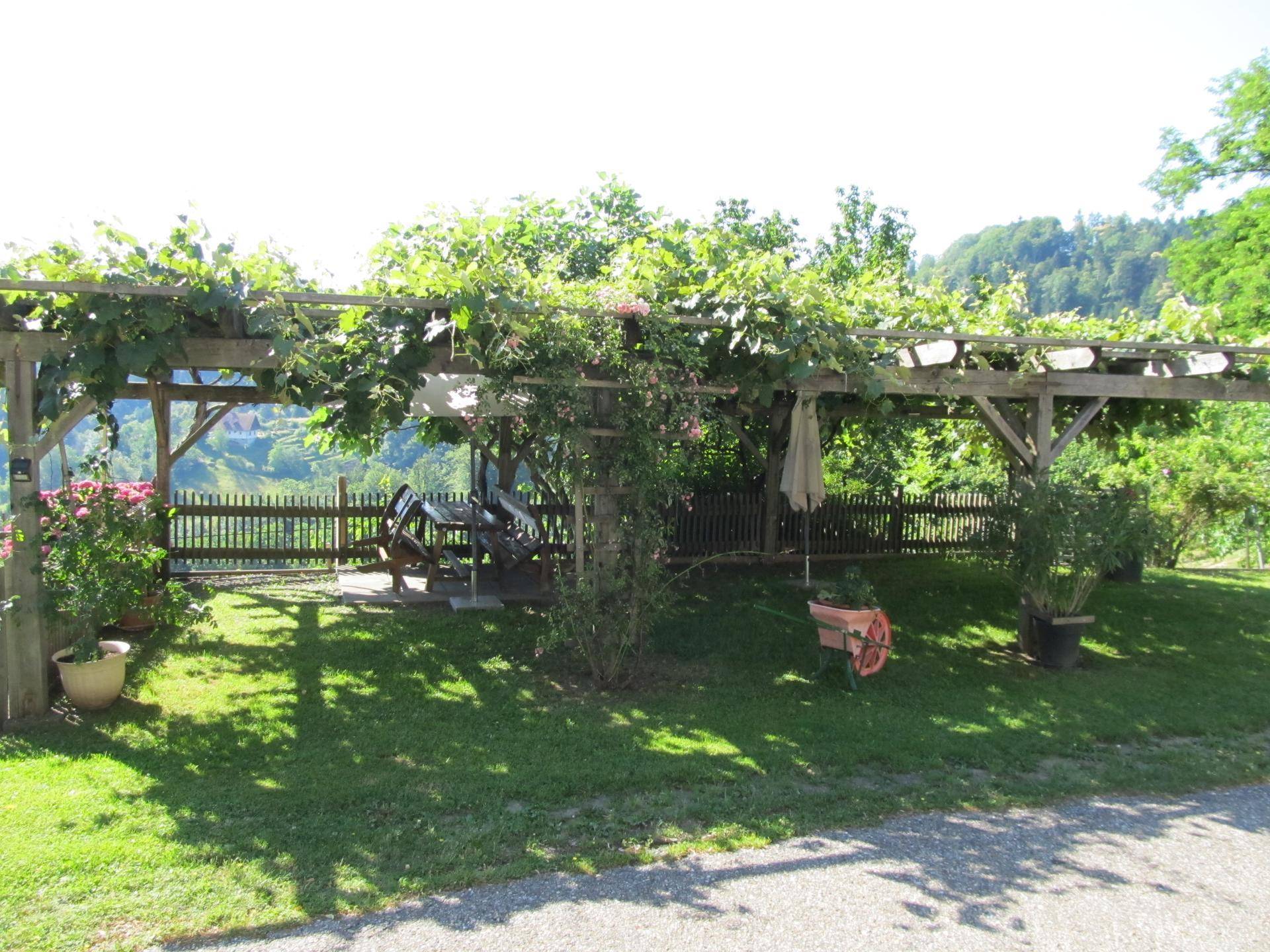 Gemütlicher Gartenbereich unter einer bewachsenen Pergola mit Sitzgelegenheiten und Zaun.