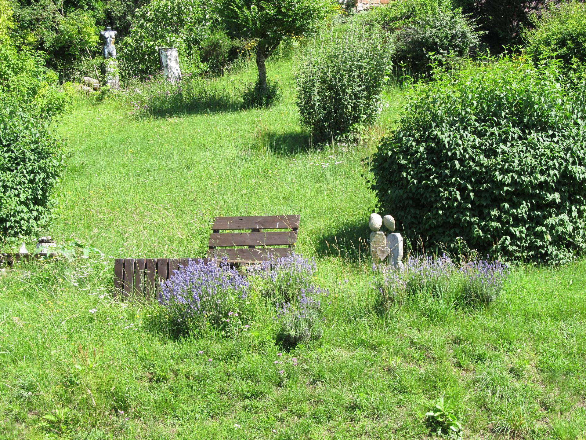 Grüner Gartenbereich mit einer Holzbank und Lavendelpflanzen, umgeben von üppiger Natur.
