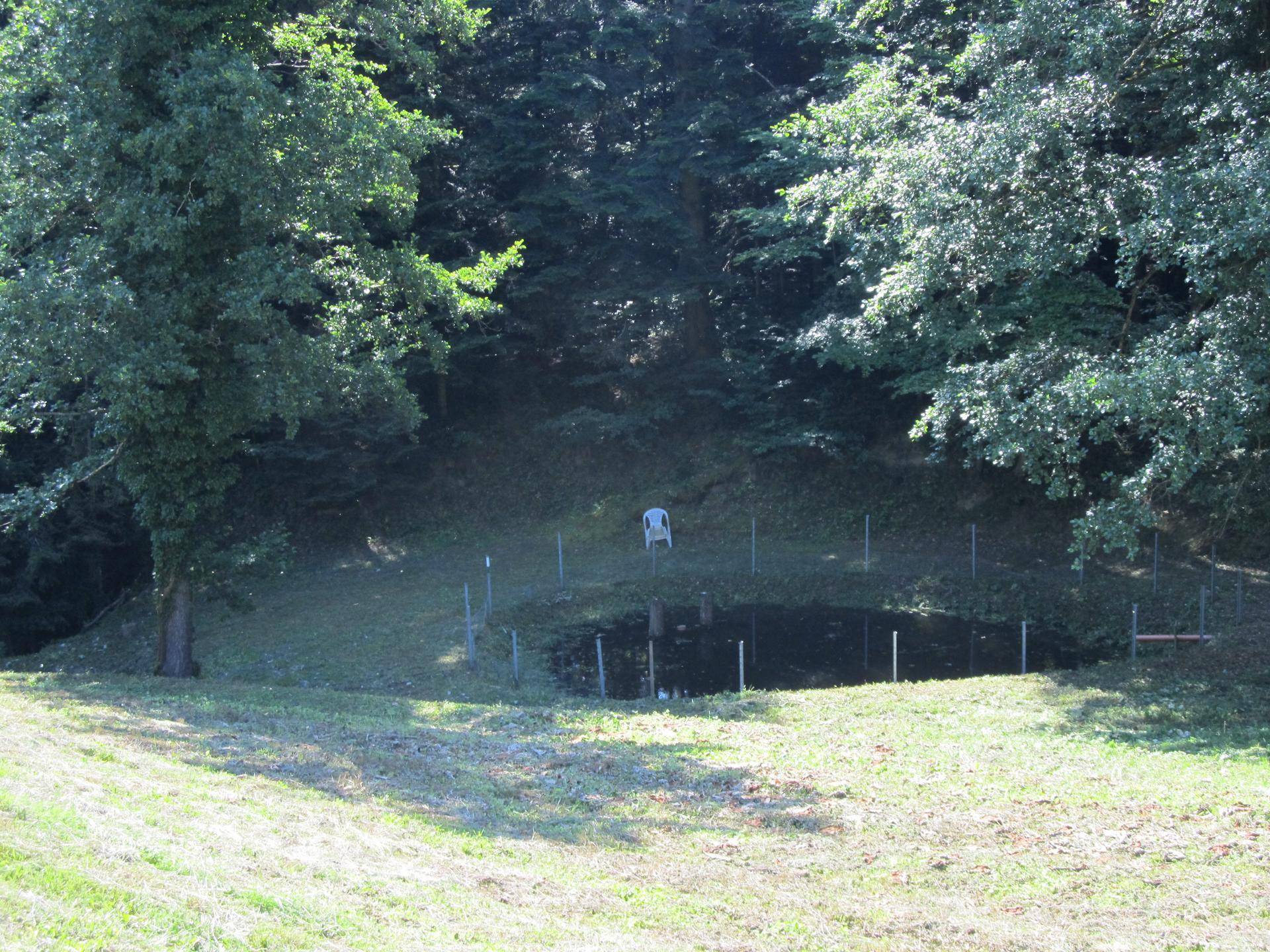 Natürlicher Teich oder Wasserstelle am Waldrand, umgeben von Gras und Bäumen.