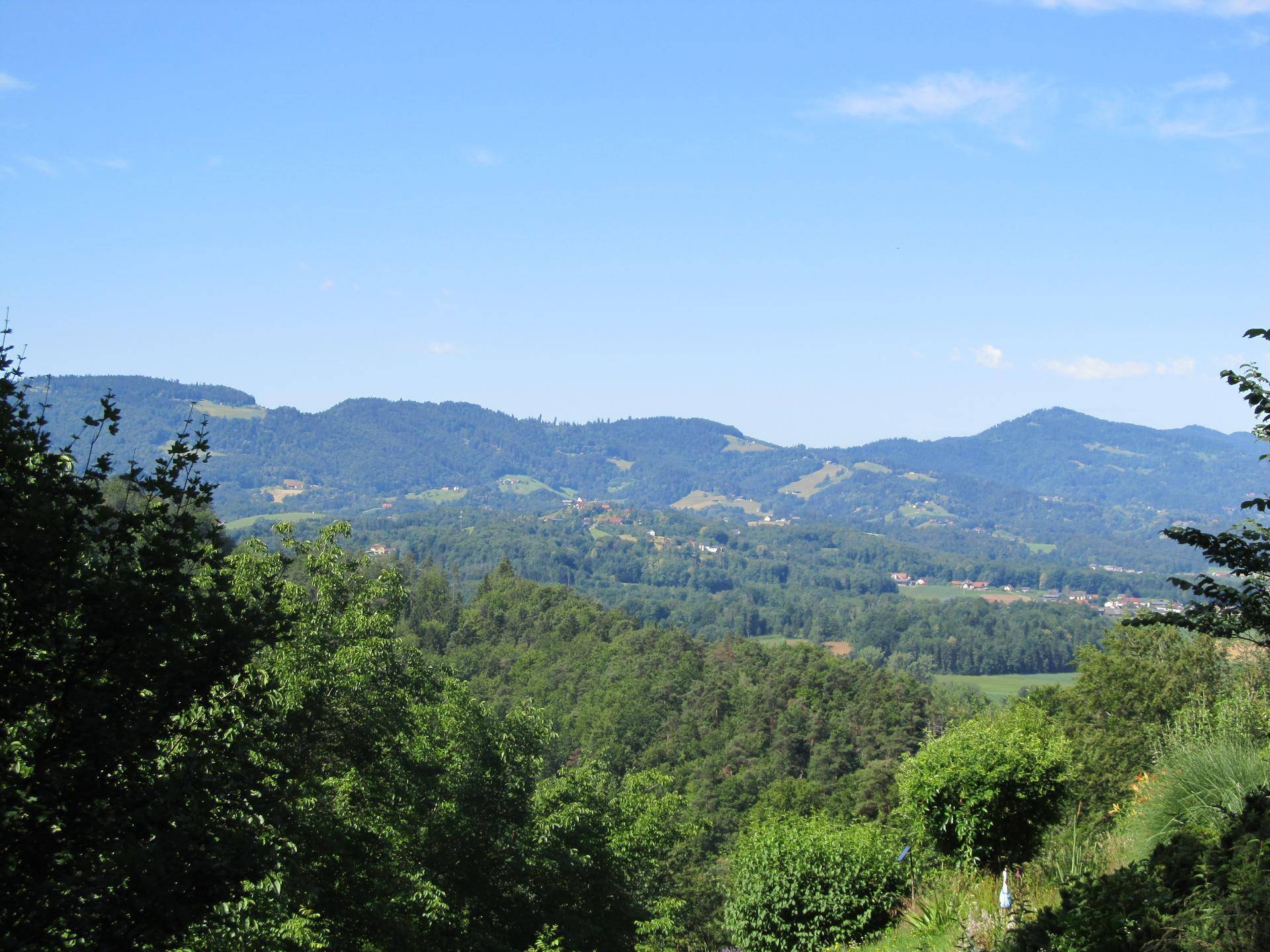 Weitläufiger Panoramablick über grüne Hügel und Wälder unter einem klaren blauen Himmel.