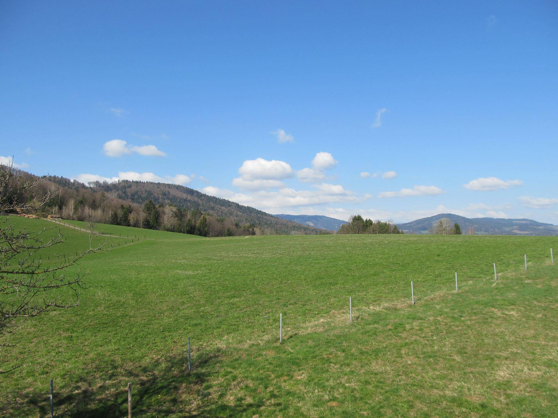 Weitläufige grüne Wiesen und bewaldete Hügel unter blauem Himmel.