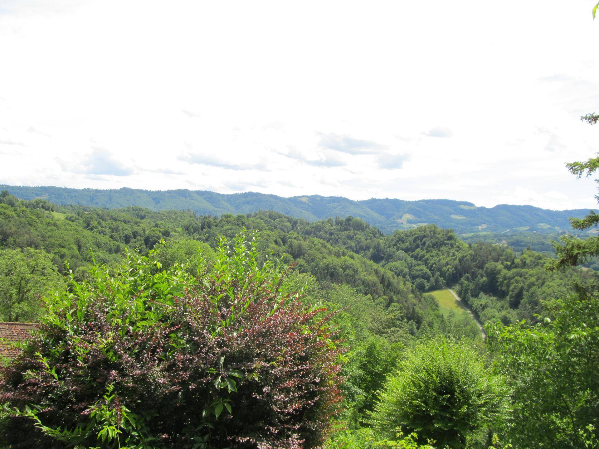 Weitläufiger Panoramablick über bewaldete Hügel und Täler unter einem bewölkten Himmel.
