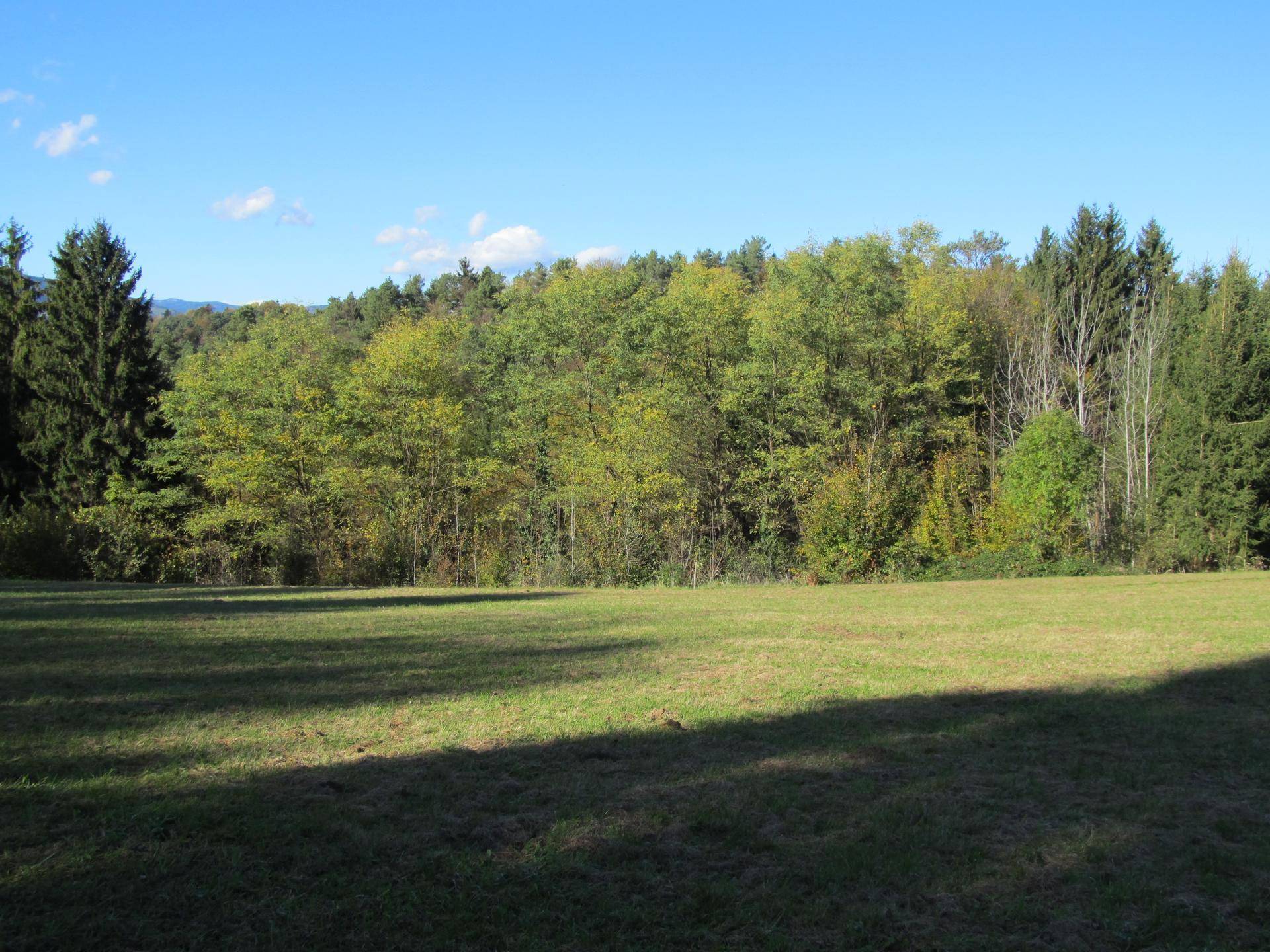 Weitläufige Wiese mit herbstlichem Wald und klarem blauem Himmel.