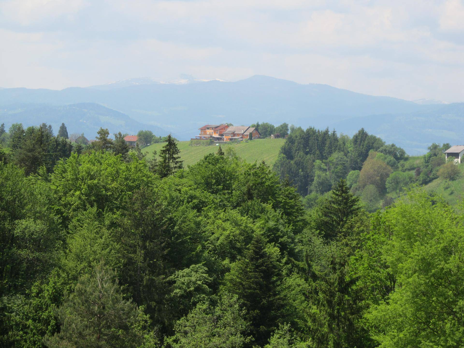 Weitläufiger Blick über grüne Wälder und Hügel mit einem Haus in der Ferne.