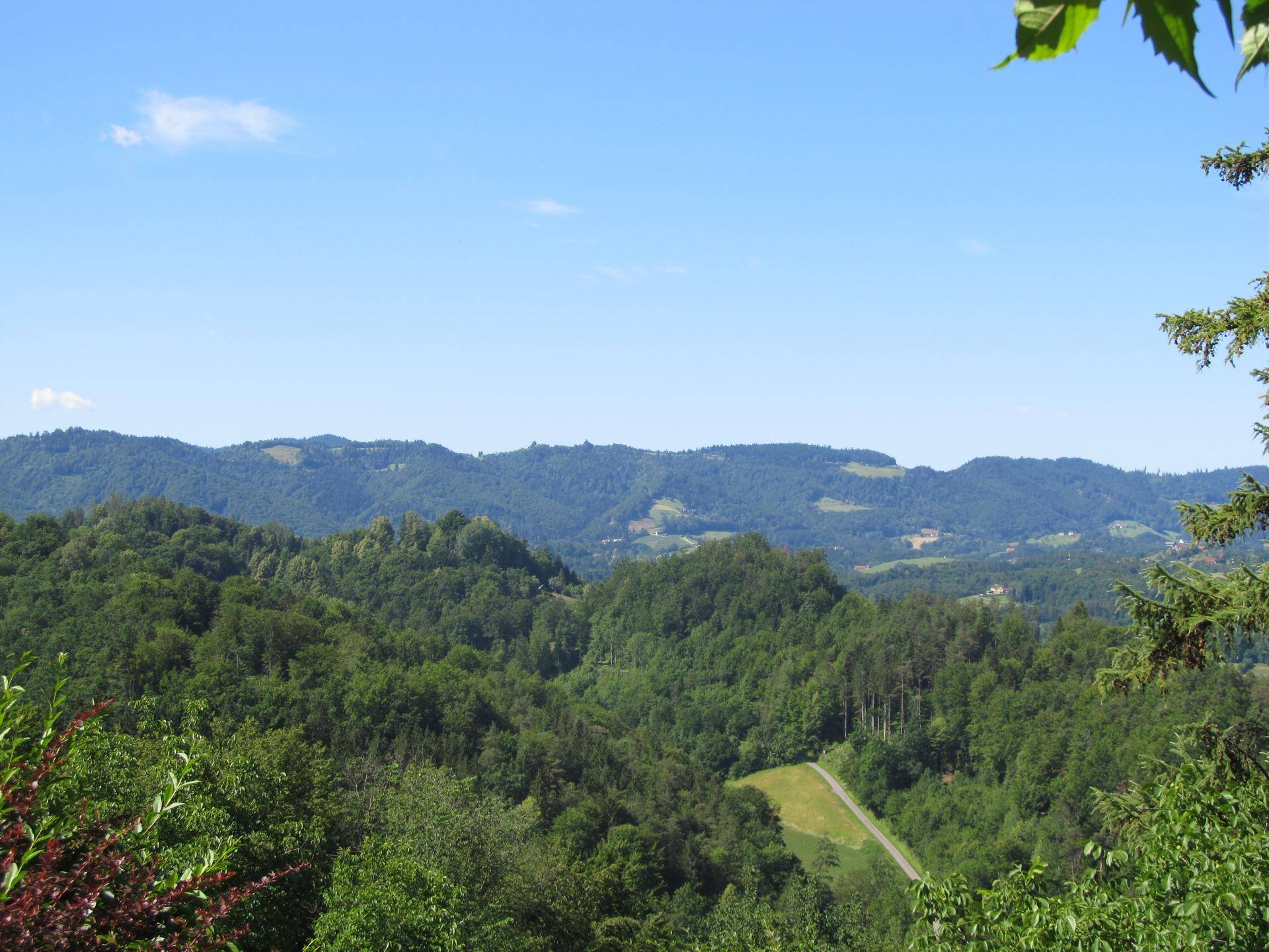 Malerischer Ausblick auf bewaldete Hügel und Täler mit einem kleinen Weg in der Ferne.