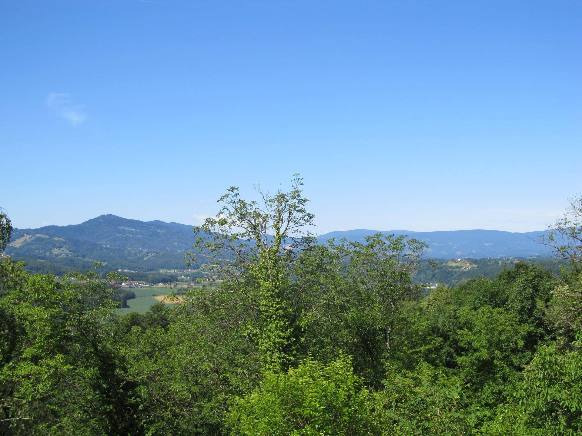 Weiter Blick über grüne Baumwipfel und sanfte Hügelketten unter strahlend blauem Himmel.