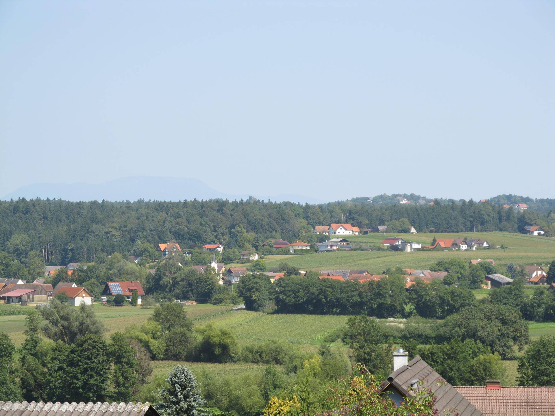 Slide 8