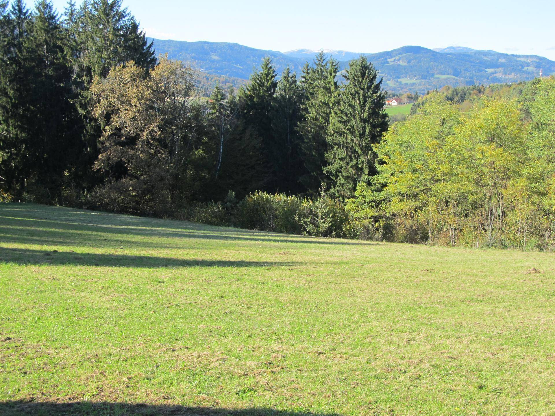 Sonnige Wiesenlandschaft mit herbstlichem Wald und Bergen im Hintergrund.
