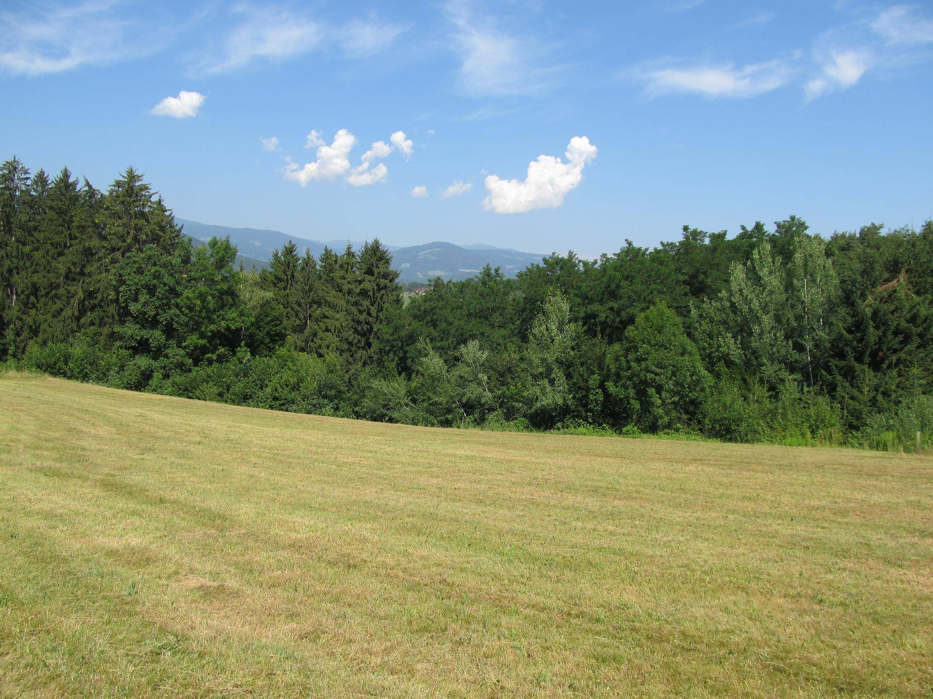 Weite Wiesenlandschaft mit Waldrand und Bergen im Hintergrund unter blauem Himmel.