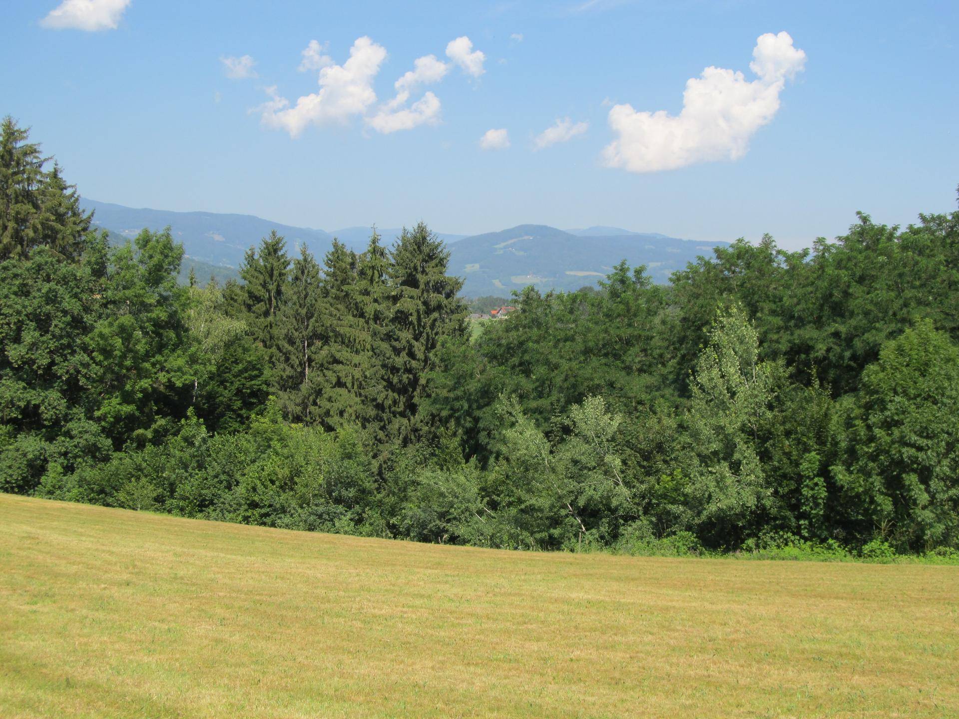 Weite Wiesenfläche mit Wald und sanften Hügeln im Hintergrund unter blauem Himmel.