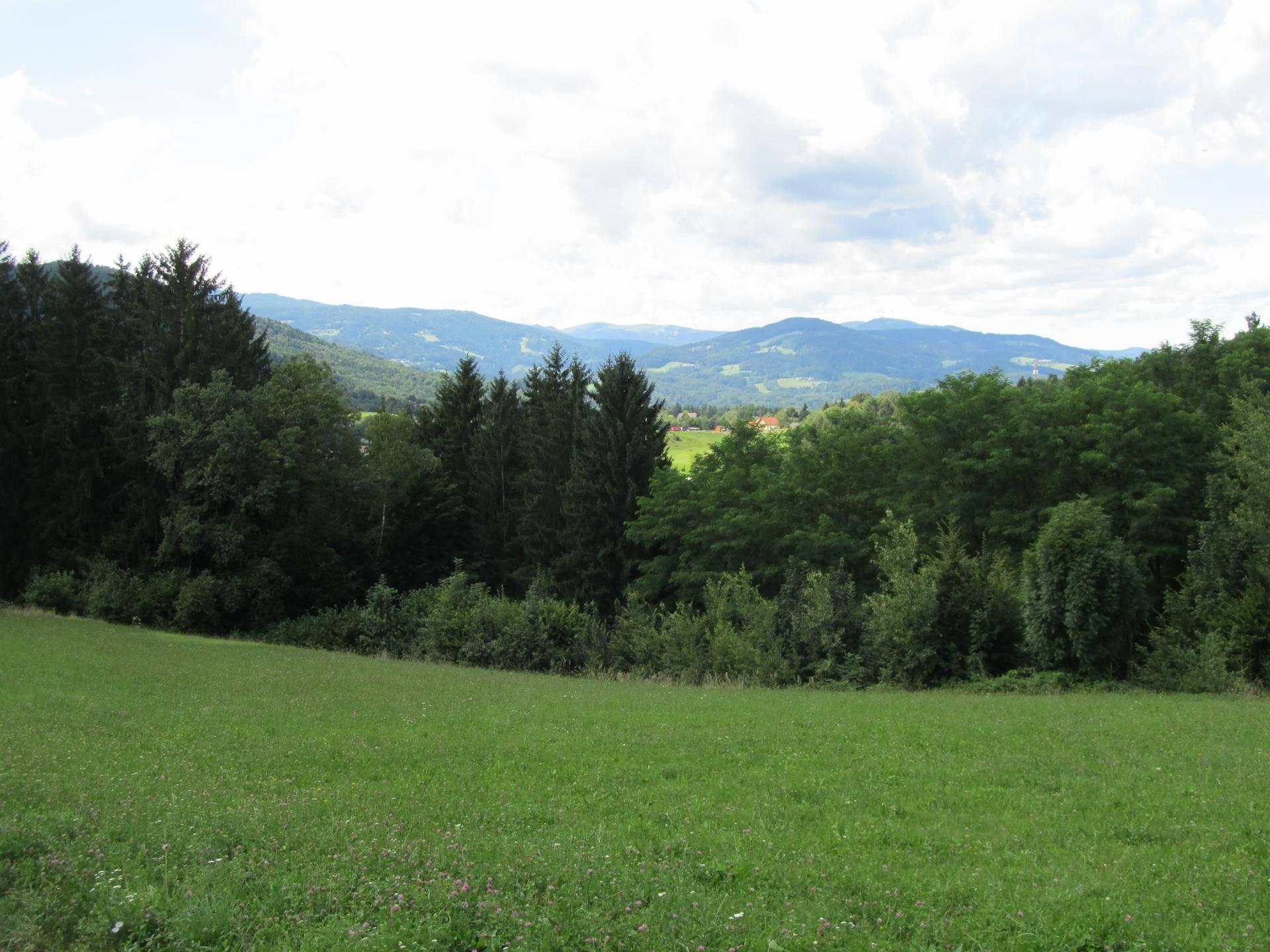 Grüne Wiese mit Waldrand und Bergen im Hintergrund unter bewölktem Himmel.