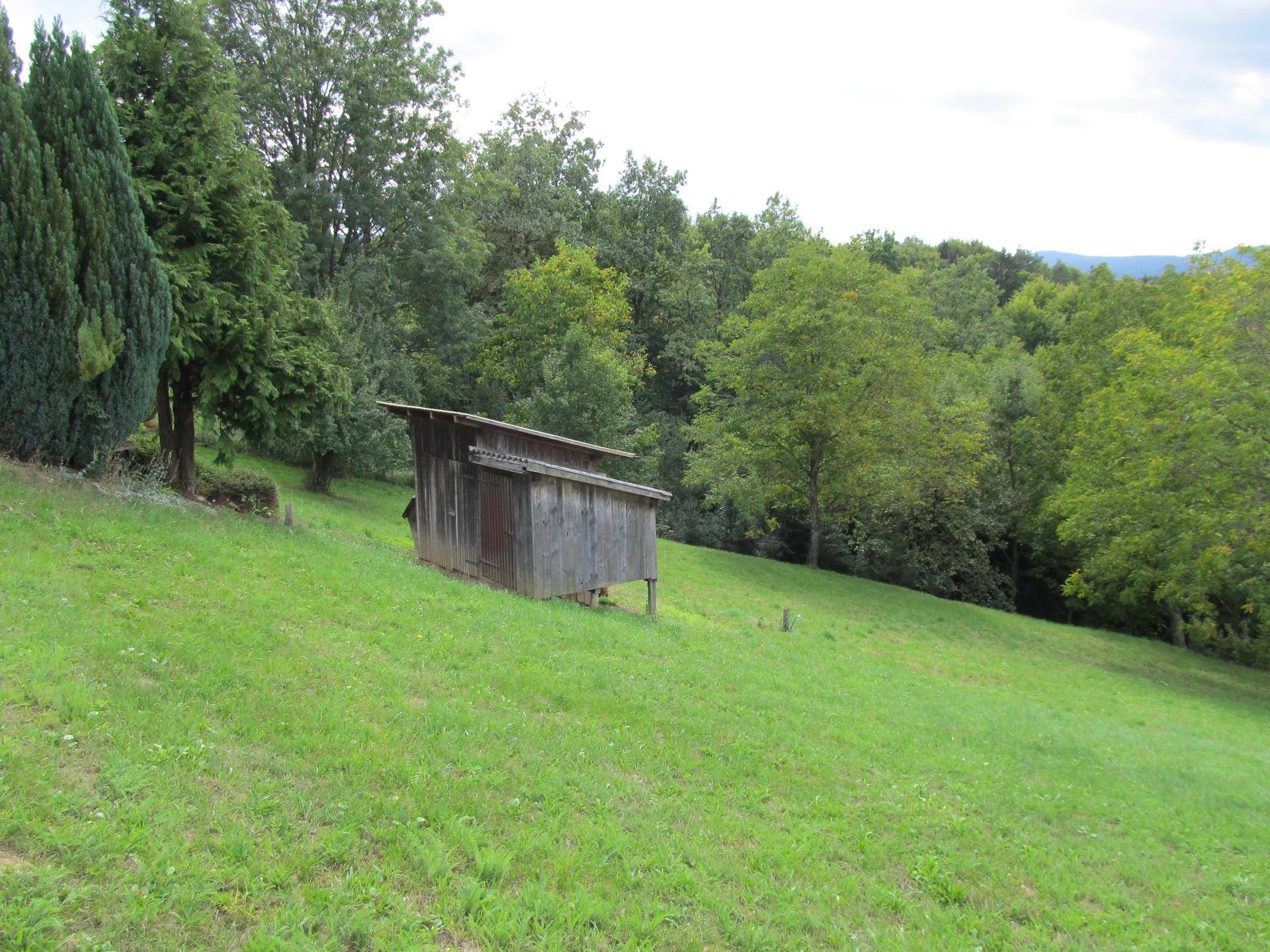 Rustikaler Holzschuppen auf einer grünen Wiese, umgeben von dichtem Baumbestand und natürlicher Vegetation.