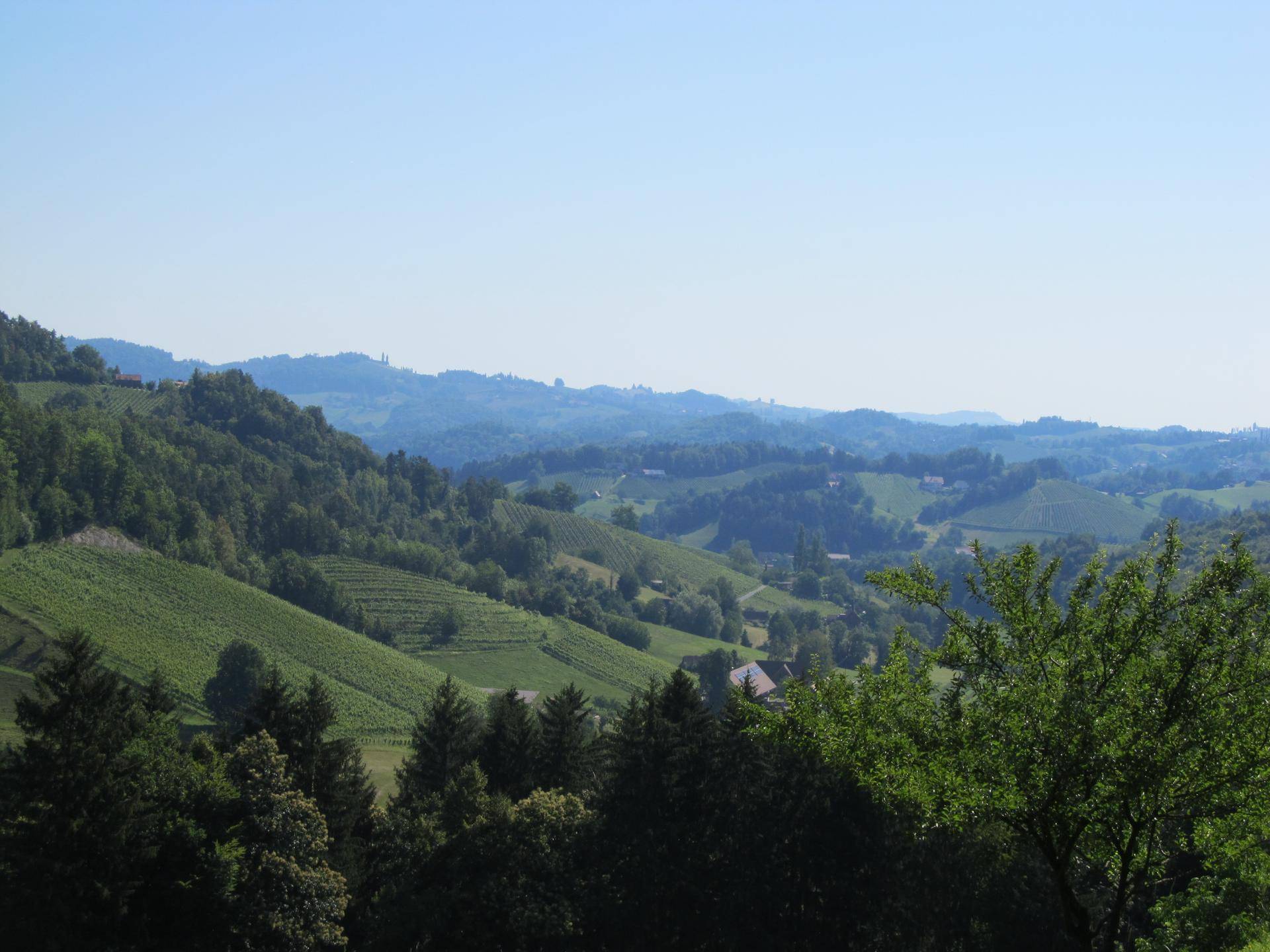LANDWIRTSCHAFT MIT CA. 8 HA GRUND IN ALLEIN/RUHELAGE MIT FERNSICHT UMGEBEN VON WEINBERGEN UND WÄLDERN - Mehr
