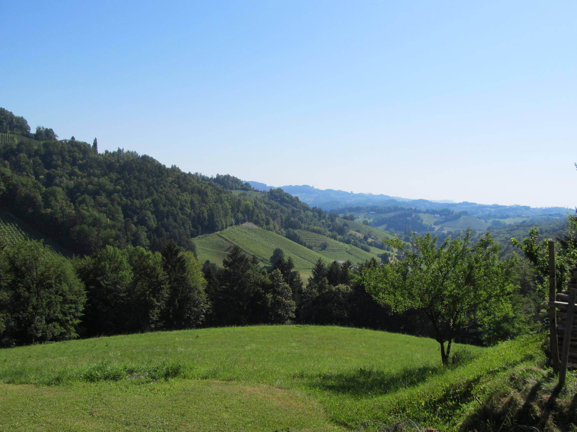 LANDWIRTSCHAFT MIT CA. 8 HA GRUND IN ALLEIN/RUHELAGE MIT FERNSICHT UMGEBEN VON WEINBERGEN UND WÄLDERN - Ansicht 6
