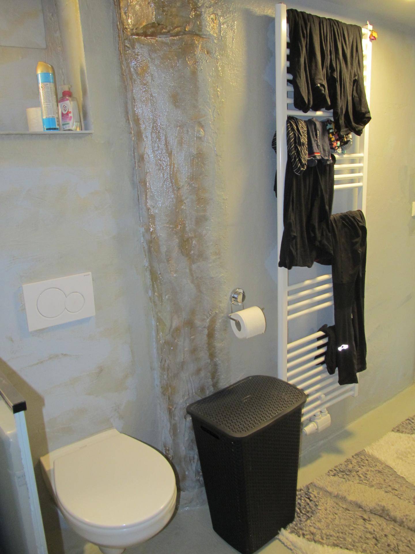 Toilettenbereich mit Wand-WC und beheiztem Handtuchhalter.