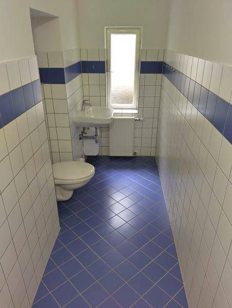 Separates WC mit Toilette, Waschbecken, Fenster und auffälligen blau-weißen Fliesen.