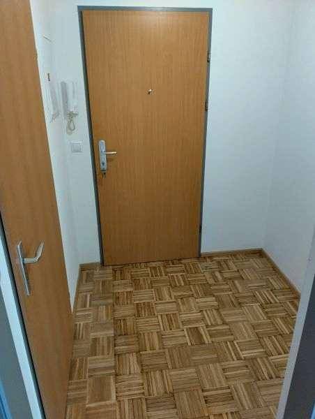 Eingangsbereich mit Holztür, Gegensprechanlage und Parkettboden.