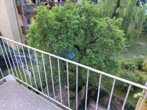 balkon_ausblick