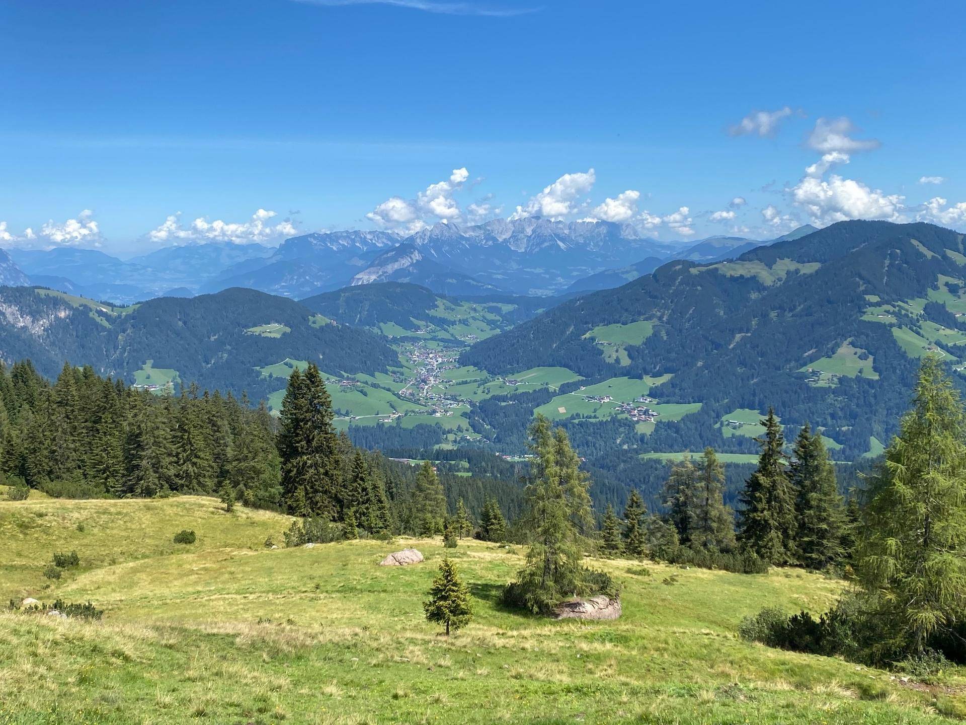 symbolfoto wildschönau