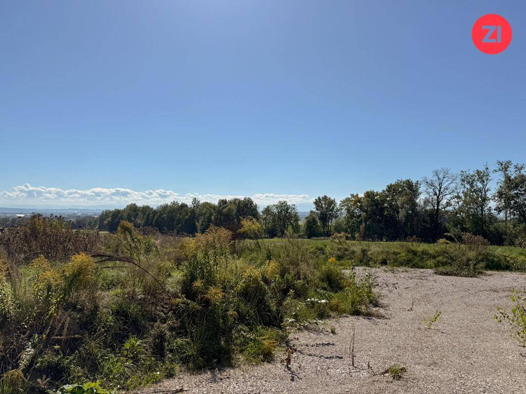Offenes Feld mit spärlicher Vegetation und Bäumen im Hintergrund unter strahlend blauem Himmel.