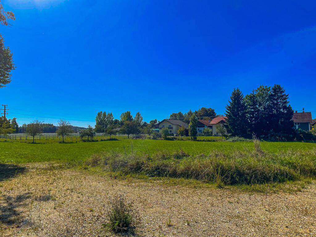 Offene grüne Fläche mit Wohnhäusern und Bäumen im Hintergrund unter einem weiten blauen Himmel.
