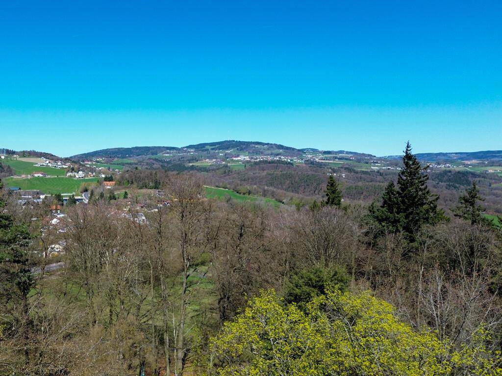 Malerischer Ausblick auf eine hügelige, grüne Landschaft mit Wäldern und vereinzelten Häusern.