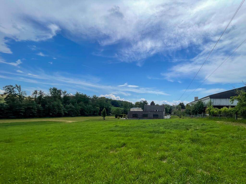 Weitläufige grüne Wiese im Vordergrund mit dem modernen Gebäude im Hintergrund unter blauem Himmel.