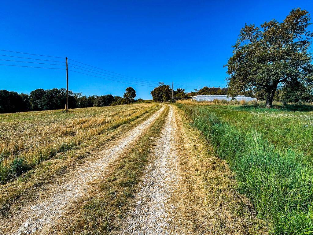 Ein Feldweg führt durch trockene und grüne Wiesen unter einem weiten, blauen Himmel.