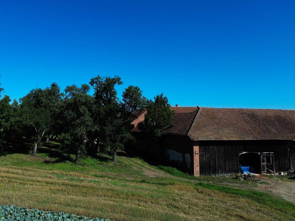Seitenansicht des alten Bauernhofgebäudes, teilweise von Bäumen verdeckt, mit Feldern im Vordergrund.