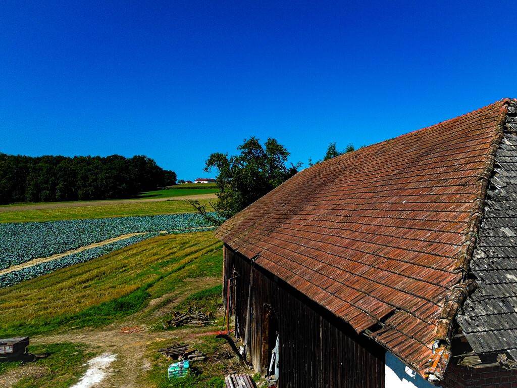 Nahaufnahme des Ziegeldachs der Scheune mit Feldern und Wald im Hintergrund unter blauem Himmel.