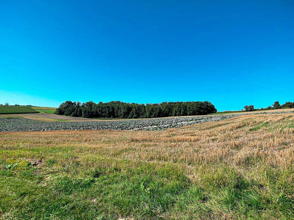 Weitläufige landwirtschaftliche Felder, teilweise abgeerntet, mit einem Waldstreifen im Hintergrund.