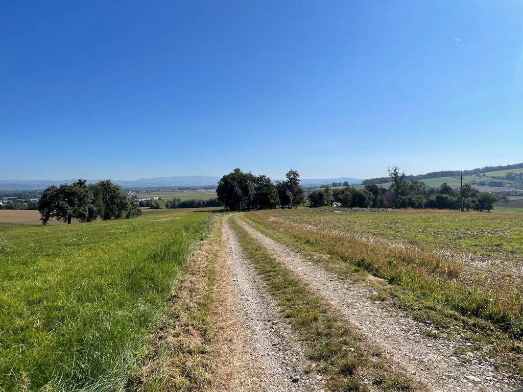 Ein Feldweg schlängelt sich durch grüne Wiesen mit fernen Hügeln unter einem strahlend blauen Himmel.