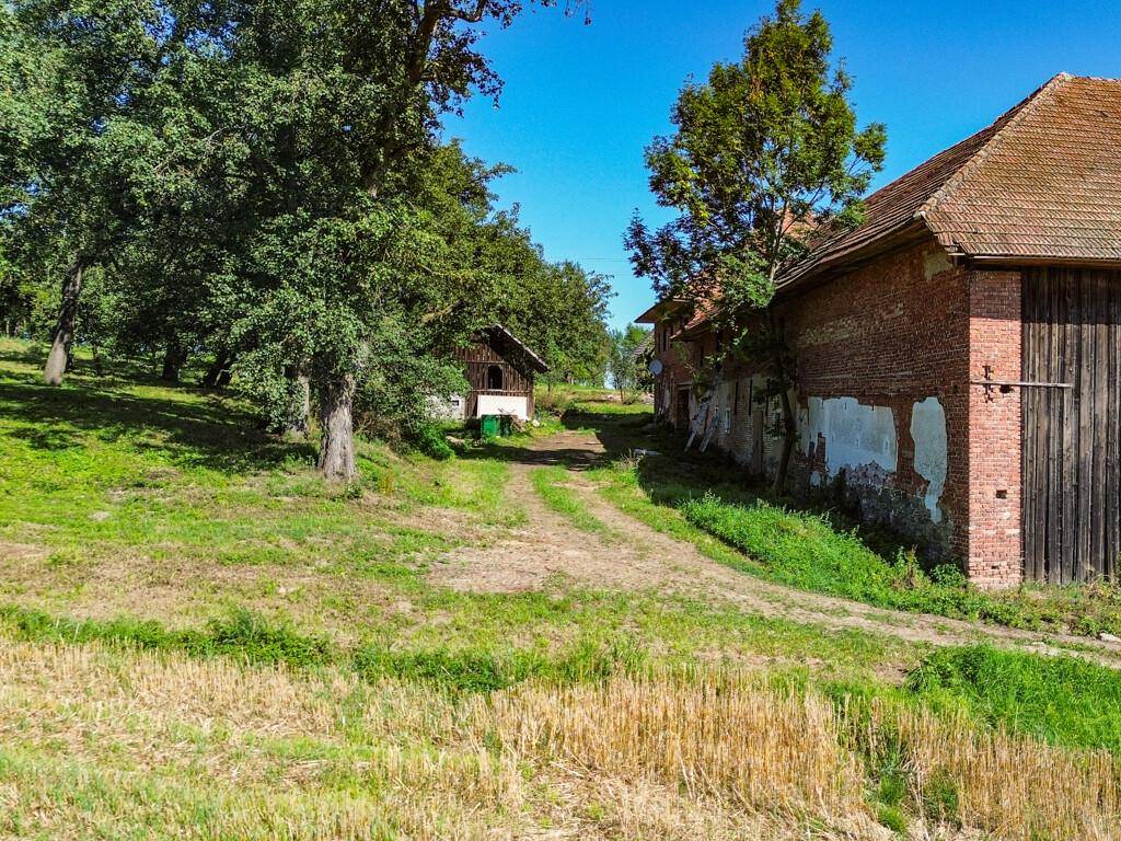 Ein Feldweg führt zwischen dem Hauptgebäude und einem kleineren Holzschuppen, umgeben von Bäumen.