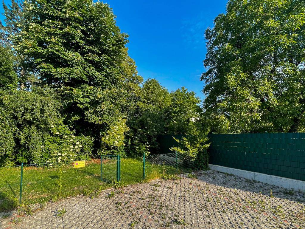 Grüner Gartenbereich mit Rasenfläche und Hecke, umgeben von Bäumen und einem Zaun.