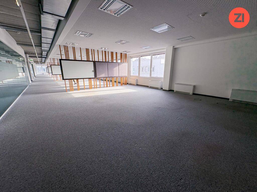 Geräumiger, leerer Büroraum mit grauem Teppichboden, großen Fenstern und abgehängter Decke.