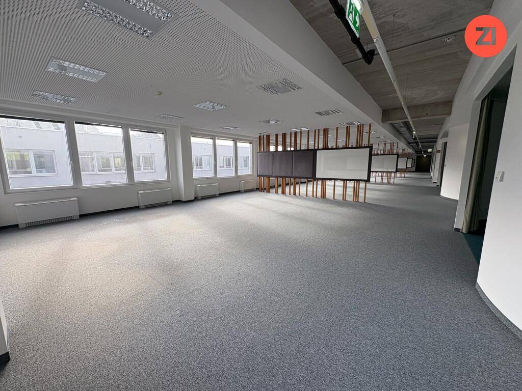 Großer, heller Büroraum mit grauem Teppichboden, vielen Fenstern und Blick auf die Umgebung.
