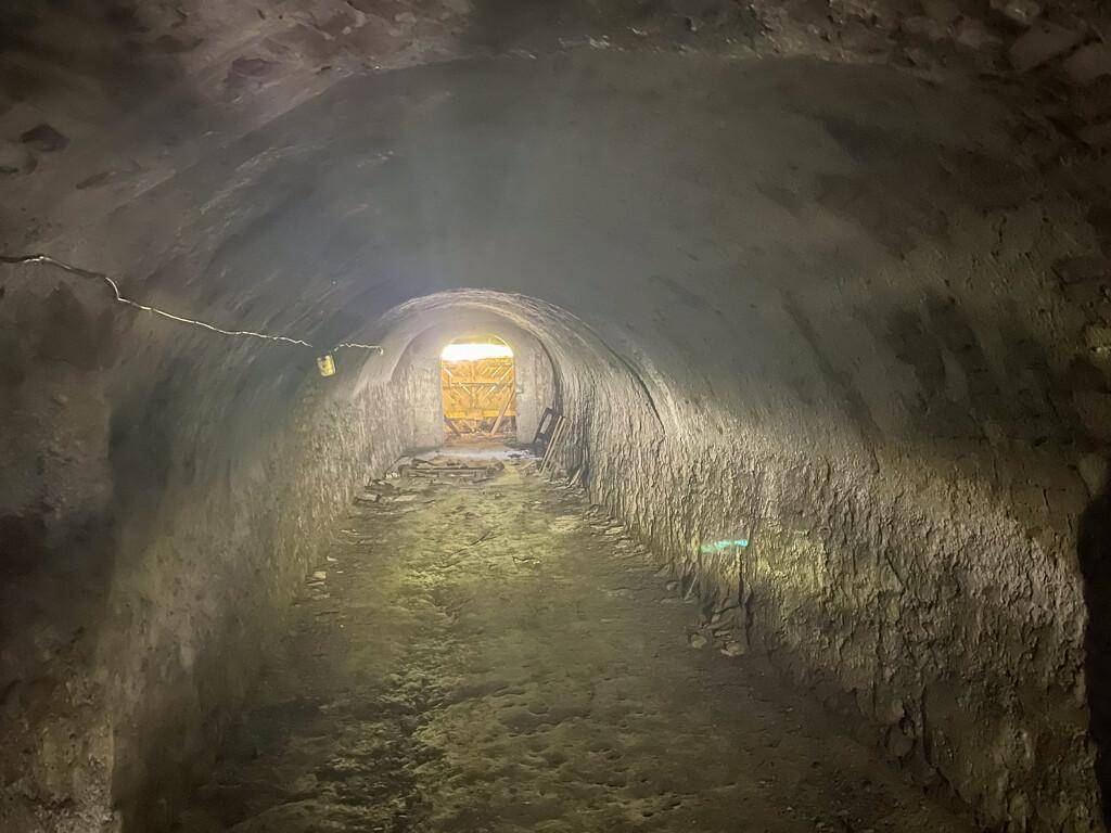 Langer, dunkler, gewölbter Kellergang mit rauen Steinwänden und einem Lichtschein am Ende des Tunnels.