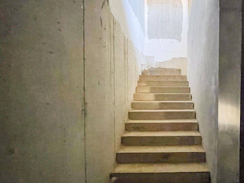 Unfertige Betontreppe in einem Rohbau, die nach oben führt, mit rauen Wänden und viel Tageslicht.