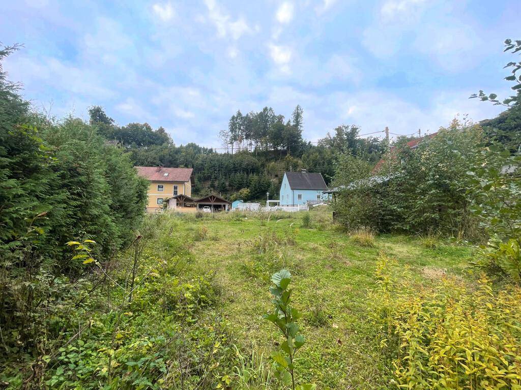Grünes, bewachsenes Grundstück mit zwei Häusern im Hintergrund und dichter Vegetation.