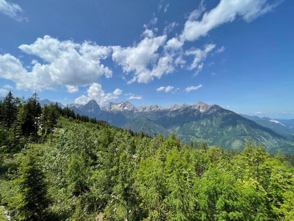 Panoramablick auf die majestätischen Alpen mit grünen Wäldern und schneebedeckten Gipfeln unter blauem Himmel.