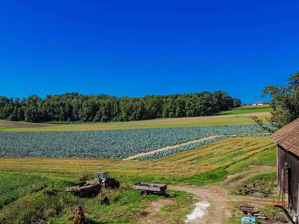 Ländliche Szene mit landwirtschaftlichen Feldern, einem Traktor und einem Wald im Hintergrund unter klarem Himmel.