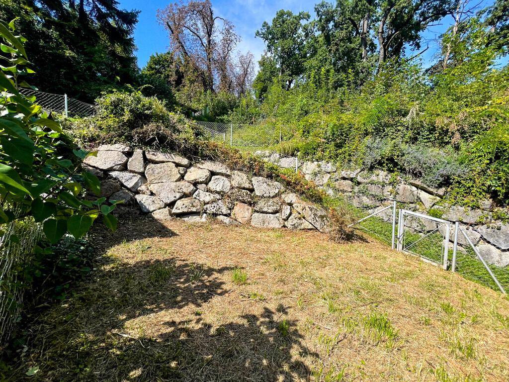 Naturbelassener Gartenbereich mit einer rustikalen Steinmauer und leichter Hanglage, umgeben von viel Grün.