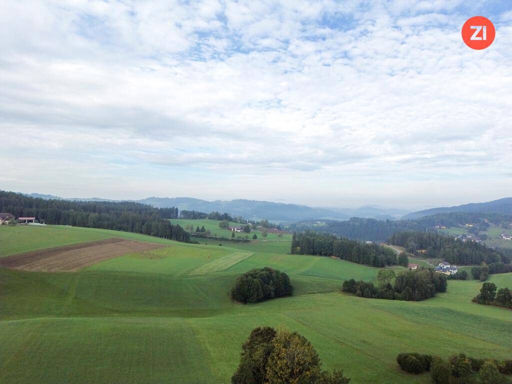 Panoramablick über eine weitläufige grüne Landschaft mit Wäldern und Feldern unter bewölktem Himmel.
