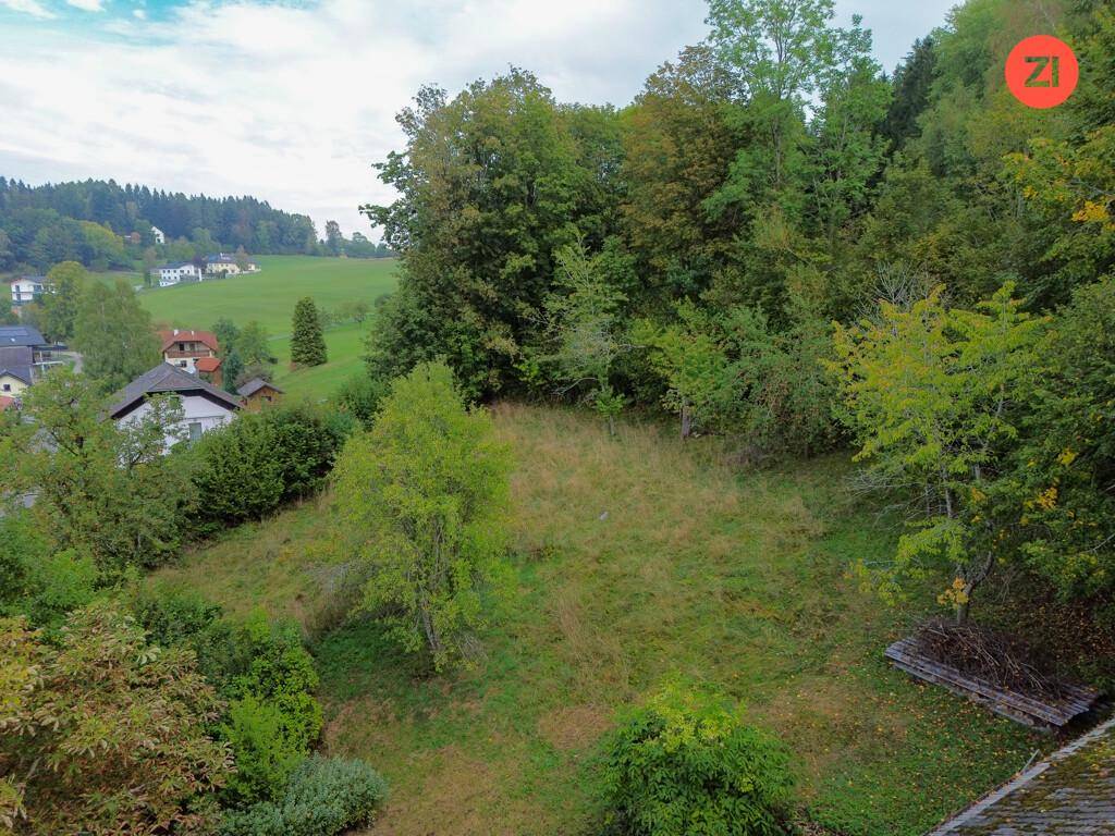 Grüne Hanglage mit Wiese und Bäumen, umgeben von ländlicher Bebauung und Natur.
