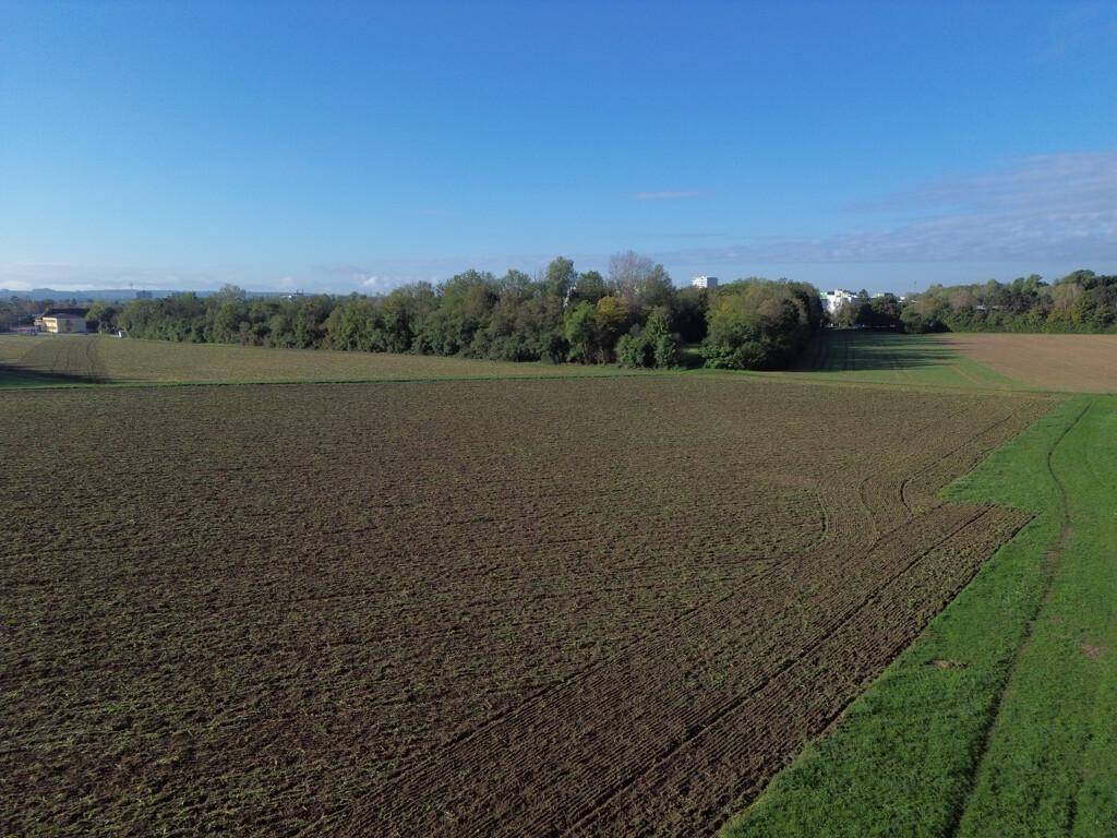DJI_0542