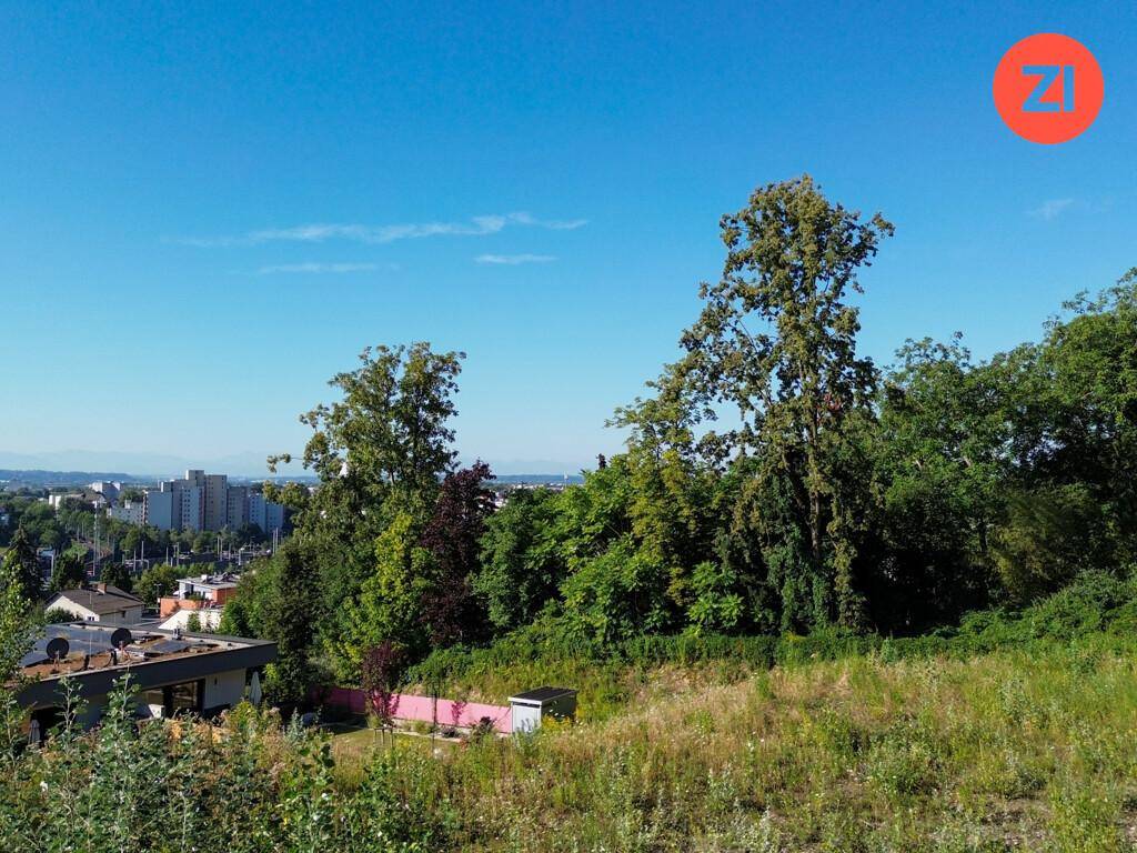 Naturbelassene Grünfläche mit Bäumen, einem Schuppen und Blick auf die entfernte Stadt.