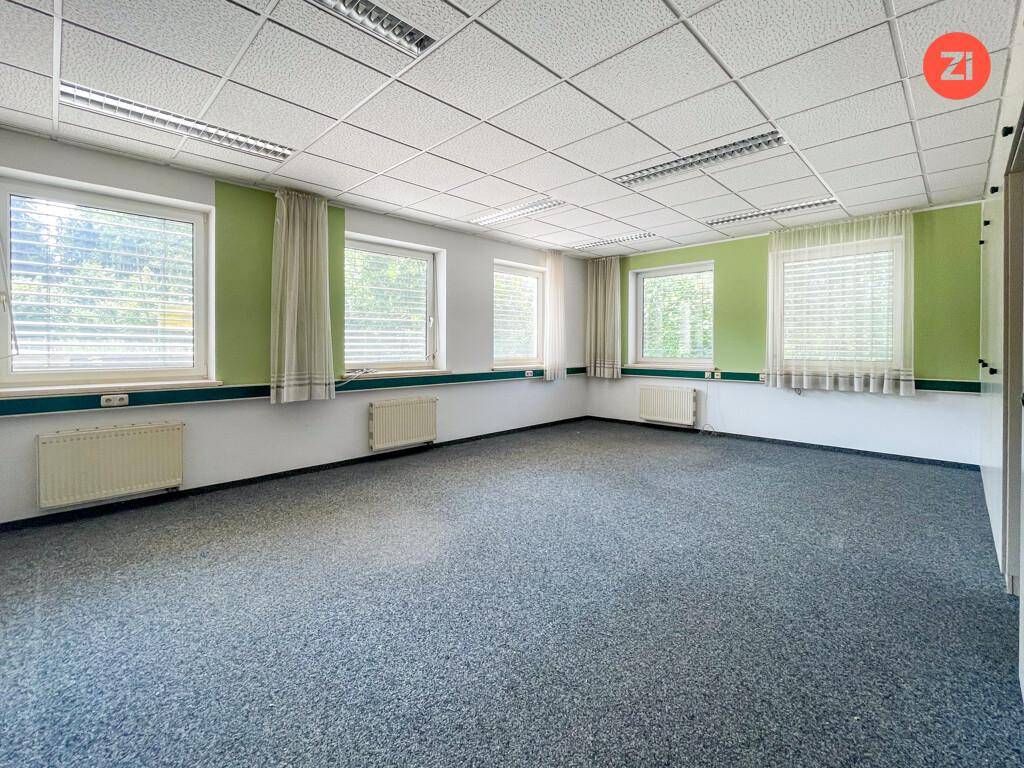 Großes Büro mit Teppichboden, grünen Akzentwänden und mehreren Fenstern für gute Belichtung.