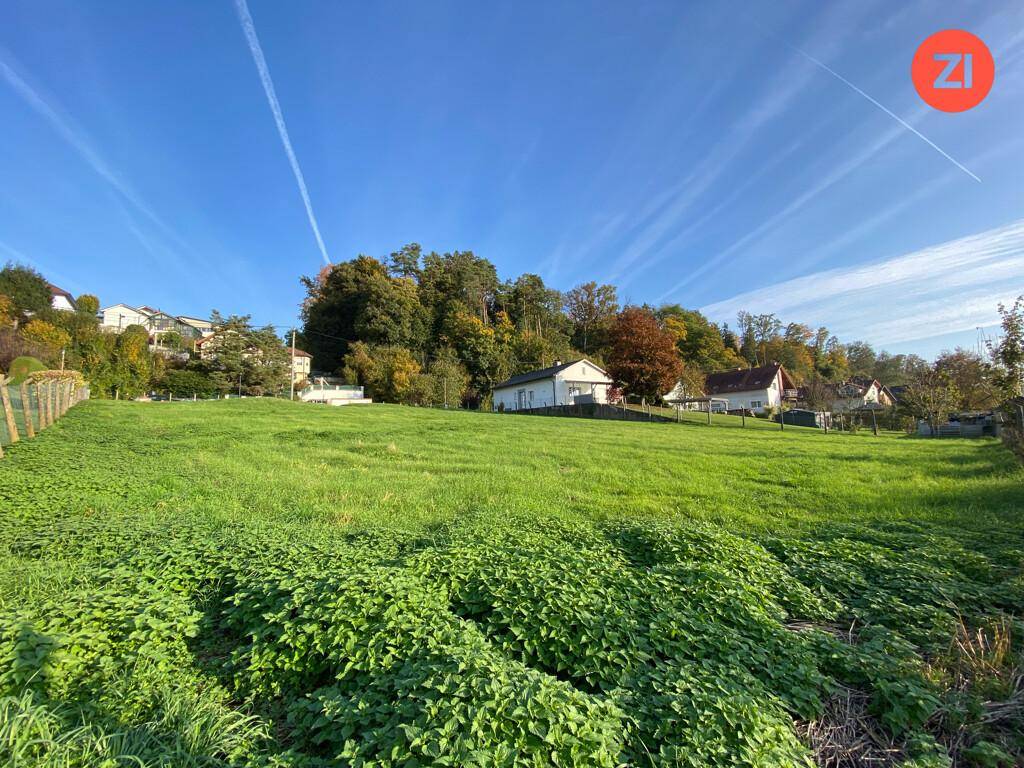 Grüne Wiese mit Blick auf die umliegende Wohnbebauung und herbstliche Bäume am Horizont.
